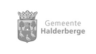 Logo gemeenten - Halderberge